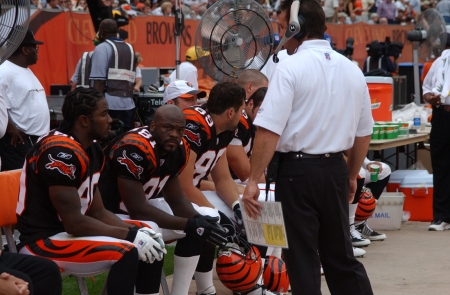 coaching for the cincinnati bengals 2002