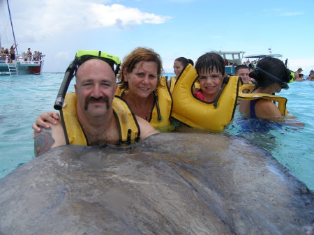 Swimming with the Stingrays