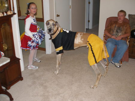 a 4 legged true steelers fan????