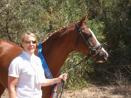 My Arabian Dressage horse