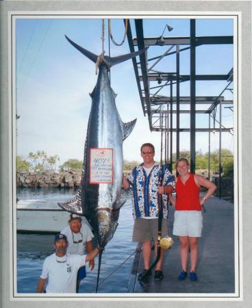 Pacific Blue Marlin