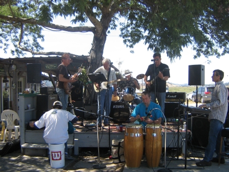 2009 Marin County, CA musicians reunion