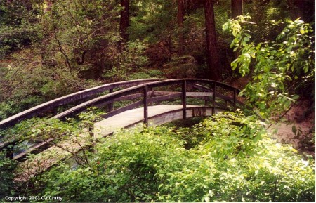 Bridge at Burney Falls, CA