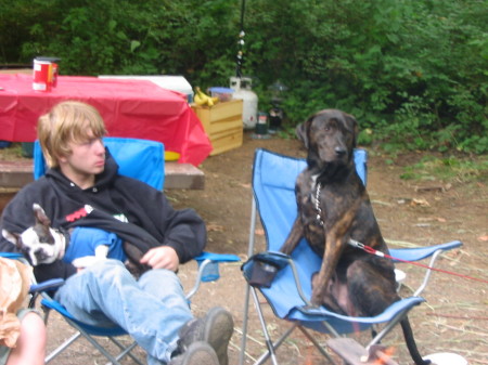 Camping dogs