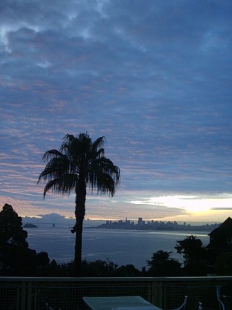 A view from my deck in Sausalito