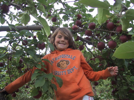 Catera in a apple tree 2007