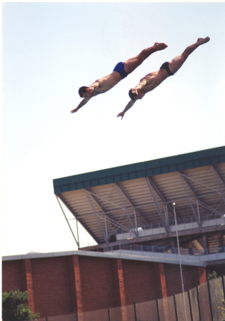 Diving from the 10 M platform at MSU