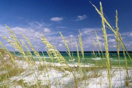 Beautiful Beach