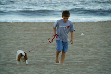 A Walk on the Beach