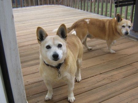 Maggie and Bart