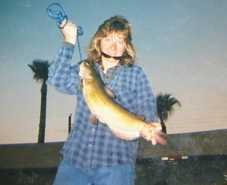 6 1/2 lbs.Flathead catfish