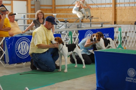 Me showing at the AKC World Show in Indiana 2007
