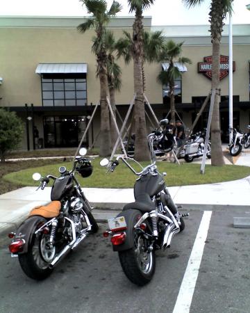 mine & wife's Harleys