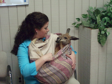Kangaro at in TV Station