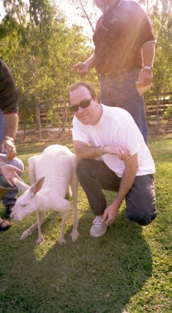 Albino kangaroo