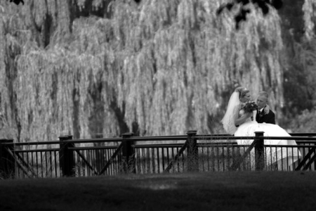 Wedding on the Willow