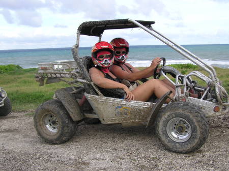 Buggies in Barbados