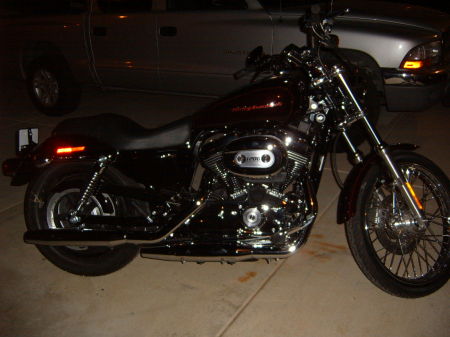 My Harley 1200 Custom Sportster