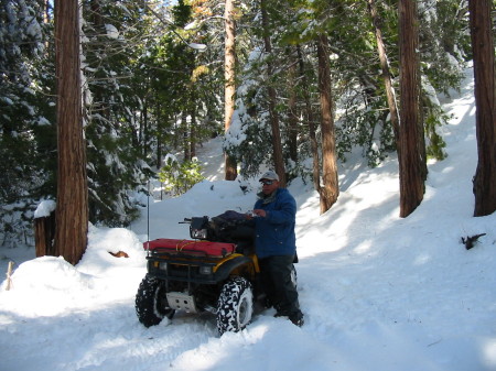 Sequoia National Forest, CA 2005