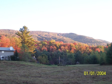 looking at Magic Mt. from back of house