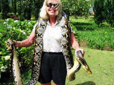 14 foot boa in Bali