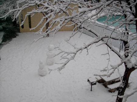 After the Snow Storm 2006 in Albuquerque NM