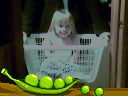 Tater in a basket