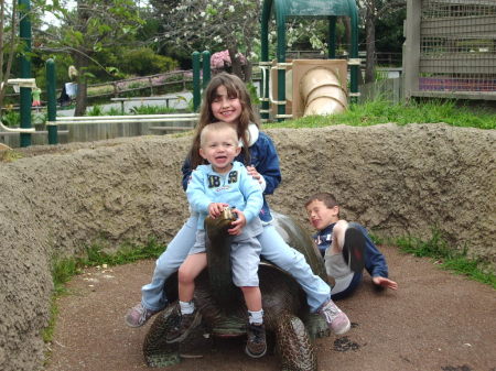 Kids at Santa Barbara Zoo