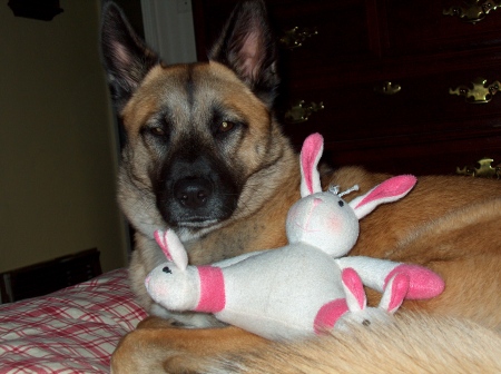 Hunny and her bunny