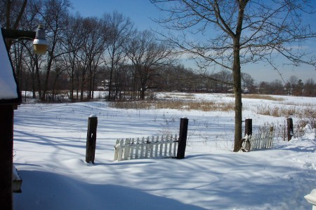 Backyard (Winter)