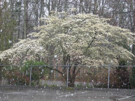 Snow in April