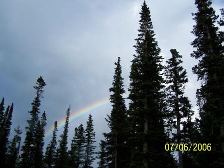 "so never blame the rainbows for the rain"