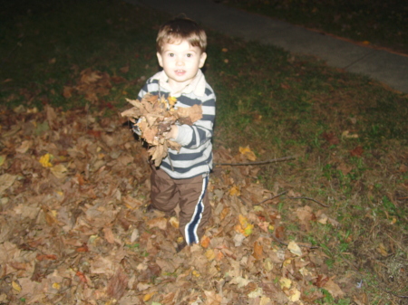 Nathan playing in the leaves