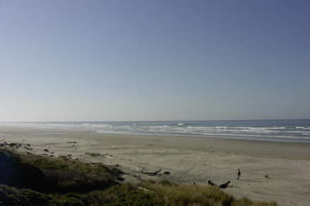 Patterson Beach In Waldport Oregon