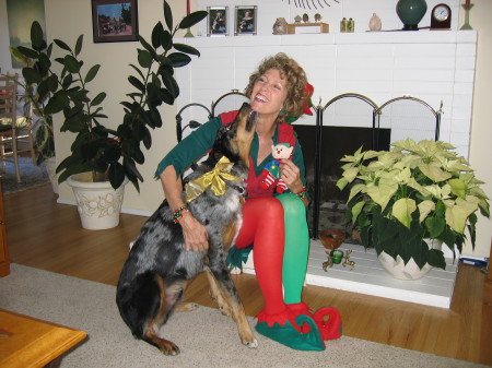 Pamela the Elf and Jonah the Crazy Dog at Christmas