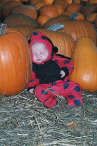 Sage the Ladybug in the Pumpkin Patch