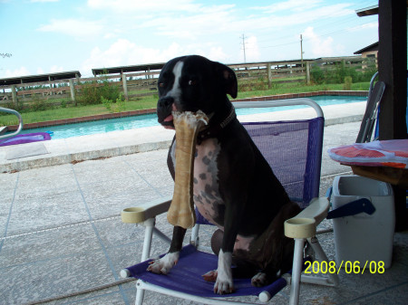 Racer chillin with a bone