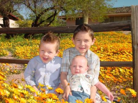 Our Grandsons 2008