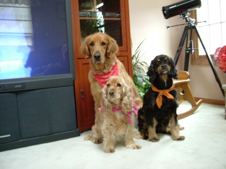 Teddy, Lacey, and Spencer