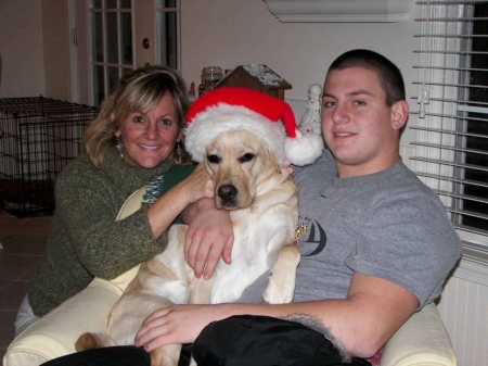 fenway christmas