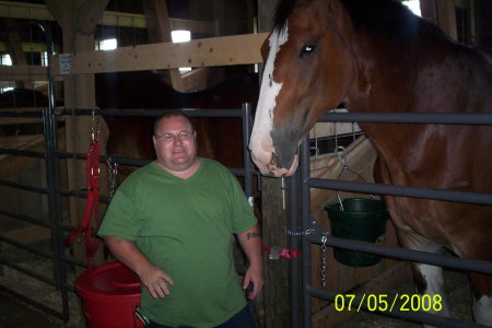 Me and Fire Budwieser Clydesdale