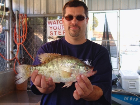 A crappie caught in Lake Texoma