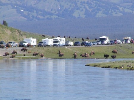 Yellowstone