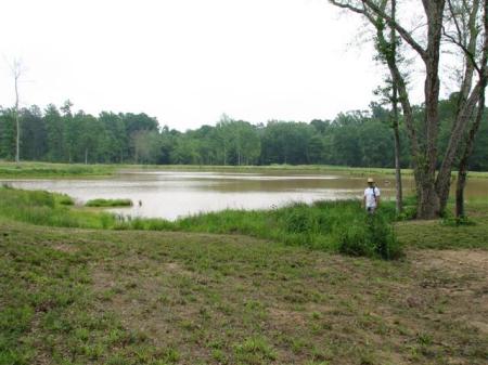 My big pond, 2008