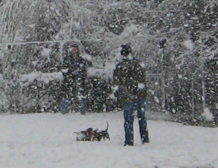 Snow  Day 2008