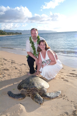 Wedding at Turtle Beach, Honolulu, Hawaii