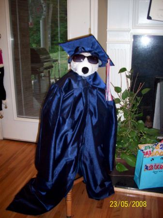 Graduation Polar Bear