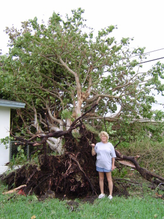 Hurricane Wilma Perrine