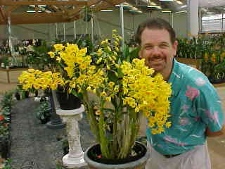 Okatzuka Orchids