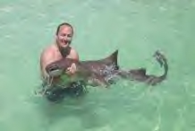 Swimming with Sharks in Cancun